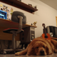 Image for article titled 134 of the Most Impressive Workspaces You'll Ever See